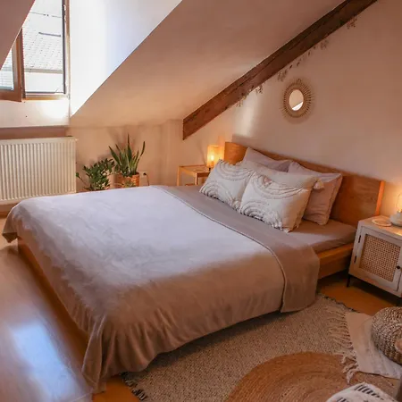 Apartment Cozy In The Heart Of The Historic